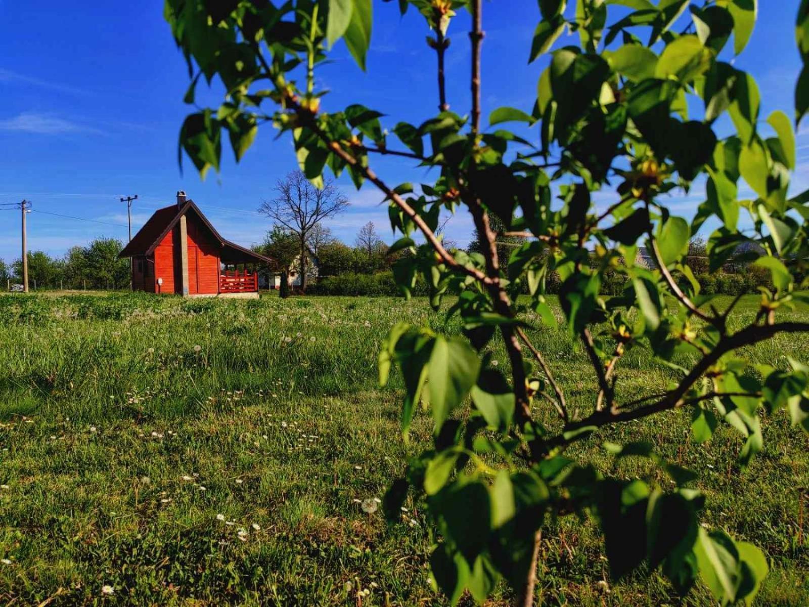 Brvnara Zecevic Vila Zlatibor Exterior foto